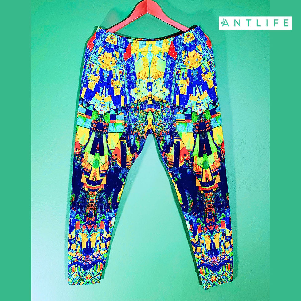 Thumbnail: Ant Life Joggers 001