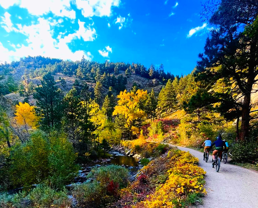creek-path-going-up-the-canyon-v0-st78k7ajb2vb1_edited.jpg