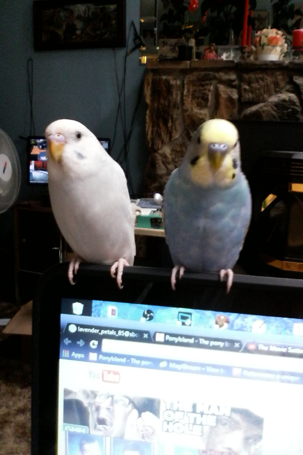 Pookie and Moonie