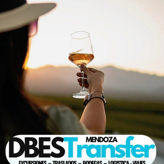 Visita a bodega con traslado privado desde Ciudad de Mendoza