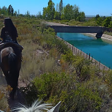 Cabalgatas Cordillera de Los Andes Mendoza. 