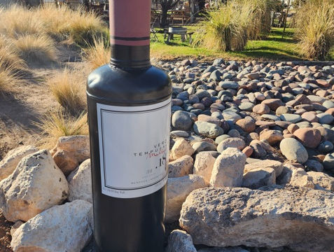 Paquetes de Excursiones en Mendoza