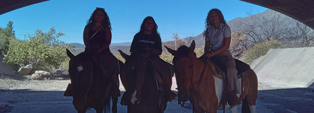 Turismo Aventura en Mendoza - Cabalgatas a la Cordillera 