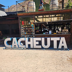 Turismo a las termas de Cacheuta en Mendoza. 