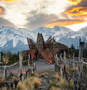 Transporte grupal en van ejecutiva para eventos de música electrónica y atardeceres en viñedos de Mendoza