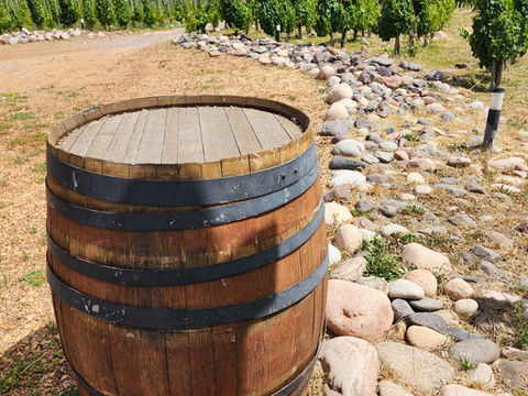 TOUR DE BODEGAS VALLE DE UCO - EXCURSIONES EN MENDOZA BODEGAS