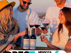 Como recorrer Mendoza sin Auto: Visitar Bodegas, Alta Montaña, Cacheuta y Valle de Uco