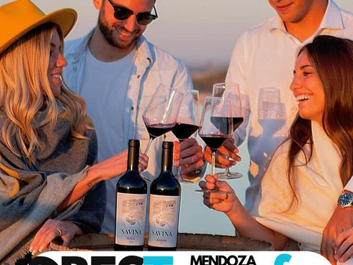 Como recorrer Mendoza sin Auto: Visitar Bodegas, Alta Montaña, Cacheuta y Valle de Uco