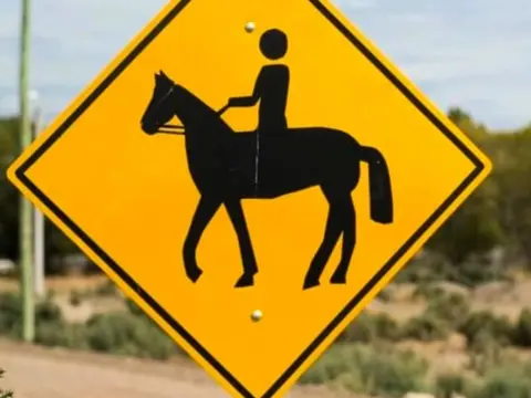 EXPERIENCIA CABALGATAS EN MENDOZA
