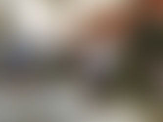 ANOPAPHINS win 13 medals in Accra