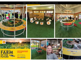 Custom event décor and styling by My Design Spot, designed to elevate every celebration.