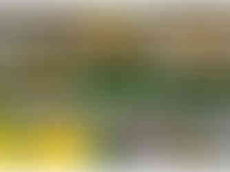 Custom event décor and styling by My Design Spot, designed to elevate every celebration.