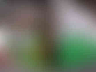 Custom event décor and styling by My Design Spot, designed to elevate every celebration.