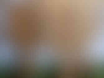 Custom event décor and styling by My Design Spot, designed to elevate every celebration.