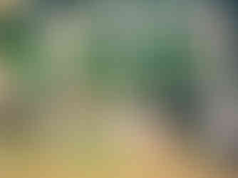 Custom event décor and styling by My Design Spot, designed to elevate every celebration.