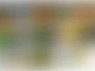 Custom event décor and styling by My Design Spot, designed to elevate every celebration.