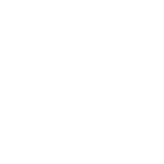 domina logo.png
