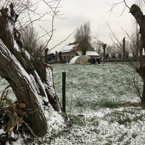 Témoignage. La vie en campagne en temps de pandémie : concilier isolement et havre de paix ?