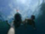 GOPR1765_1688299879186.JPG