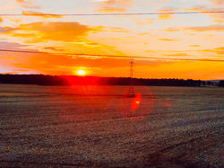 Domaine_Ã©questre_Dolexia-AoÃ»t_2020_1