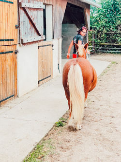 Domaine_Ã©questre_Dolexia-AoÃ»t_2020_14.