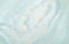 EMPWeb_BackgroundGreen.jpg