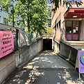 IMG_2264.JPEG