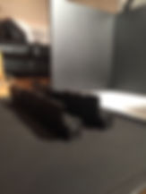 IMG_5361.jpeg