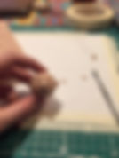 IMG_5050.jpeg