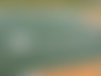 Parque de Coqueiros - Florianópolis - SC