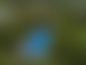 Residência - Carlos Barbosa - RS