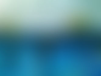 Escola de Vôlei Bernardinho - RJ