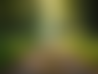 Breaking Destructive Weight Patterns Through NLP Strategies