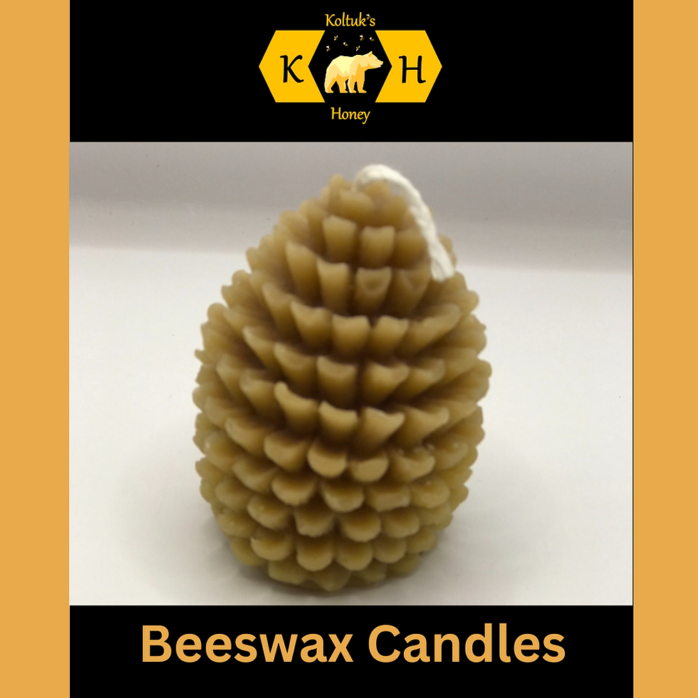 Thumbnail: Pine Cone#2 Candle
