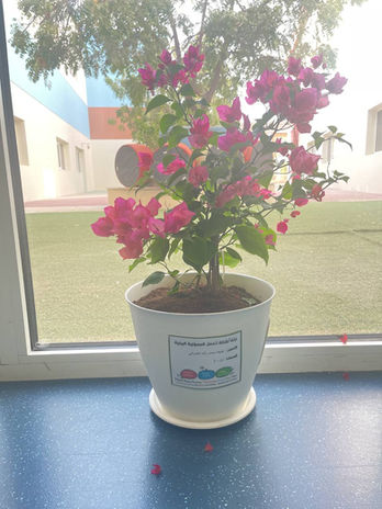 لطيفة محمد راشد 1-7