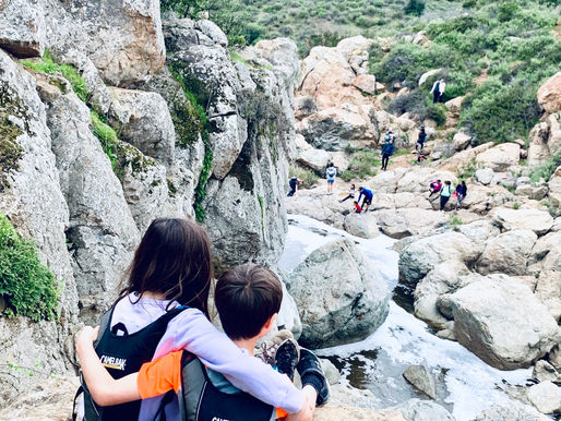 Reconnecting to the nature