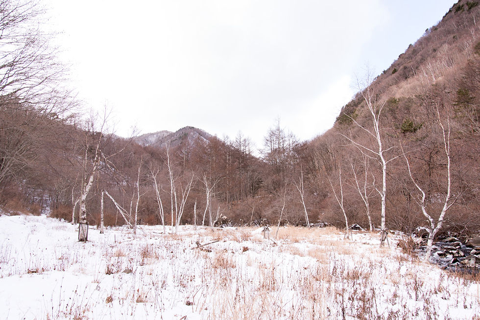 DSC_2852.jpg