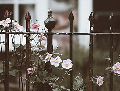 Fence with Flowers