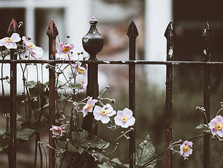 Fence with Flowers