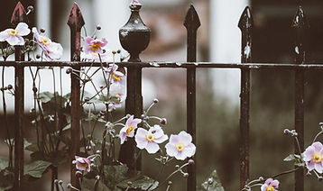 Clôture avec des fleurs
