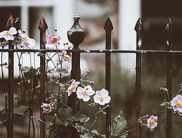 Fence with Flowers