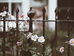 A World Where Property Lines Don't Exist