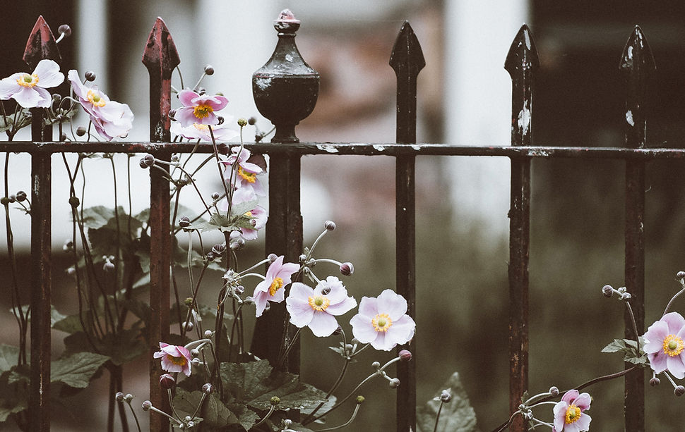 Fence with Flowers