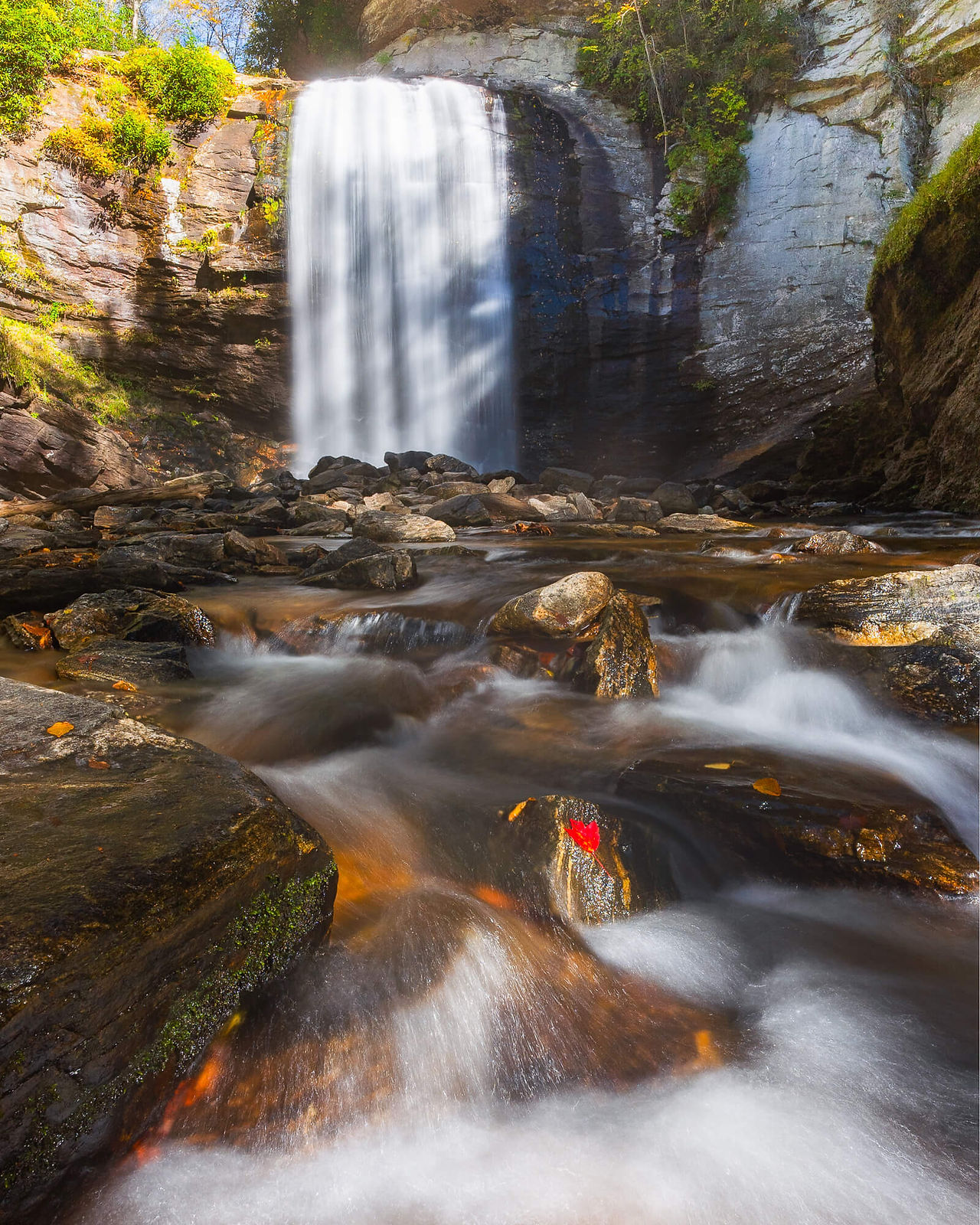 Looking Glass Falls