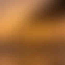 St Augustine Pier in Fog