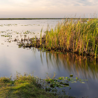 Buck Lake Mims Florida
