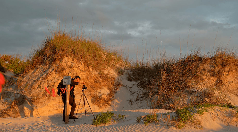 New Smyrna Sand Dunes Park.