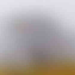 Woodland fog photography in St Augustine Florida