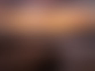 Marineland Florida Photography Guide (2026)