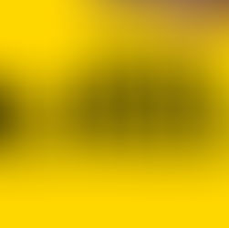 This Is Florida! Landscape Photography Adventures.